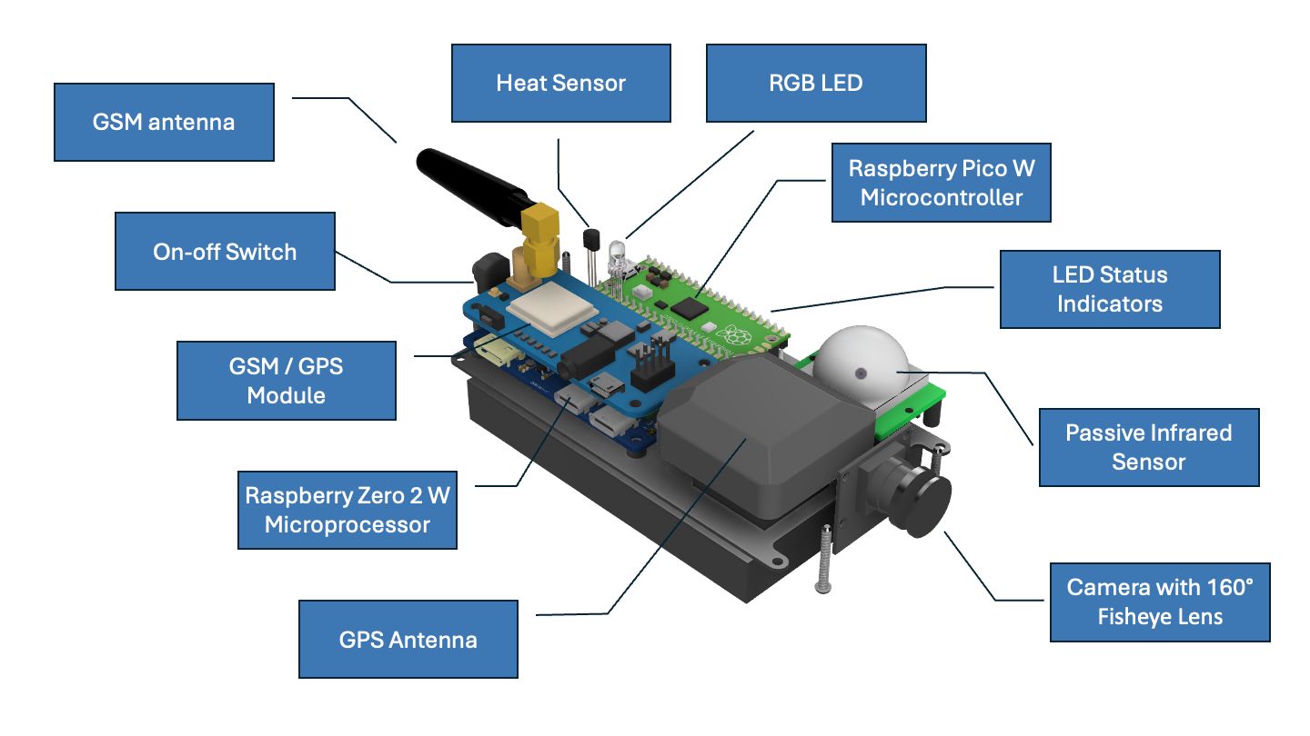 Box Model